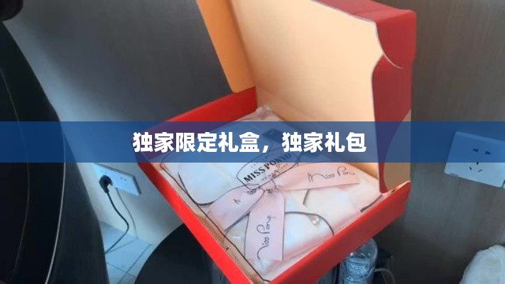 獨(dú)家限定禮盒，獨(dú)家禮包 