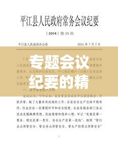 專題會議紀(jì)要的精彩內(nèi)容解讀與啟示
