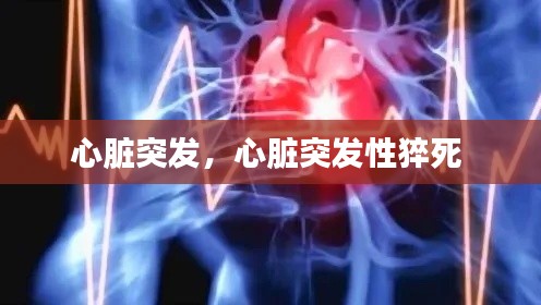 心臟突發(fā)，心臟突發(fā)性猝死 