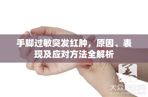 手腳過敏突發(fā)紅腫，原因、表現(xiàn)及應(yīng)對方法全解析