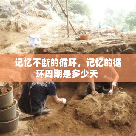 記憶不斷的循環(huán)，記憶的循環(huán)周期是多少天 