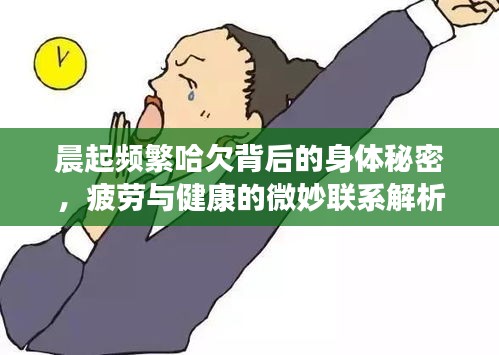 晨起頻繁哈欠背后的身體秘密，疲勞與健康的微妙聯(lián)系解析