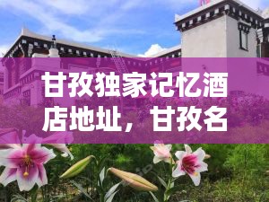 甘孜獨家記憶酒店地址，甘孜名宿 