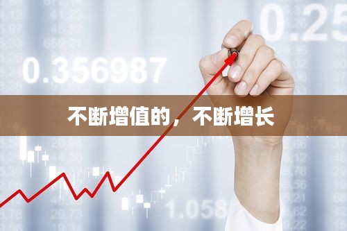 不斷增值的，不斷增長(zhǎng) 