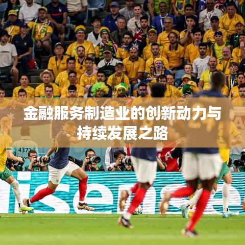 金融服務制造業(yè)的創(chuàng)新動力與持續(xù)發(fā)展之路