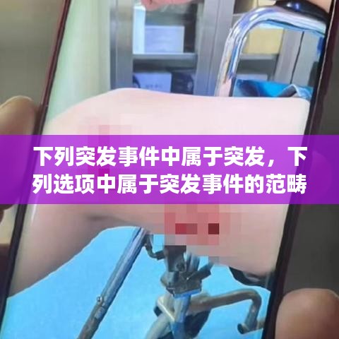 下列突發(fā)事件中屬于突發(fā)，下列選項中屬于突發(fā)事件的范疇的是 