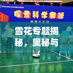 雪花專題揭秘，奧秘與魅力的探索之旅