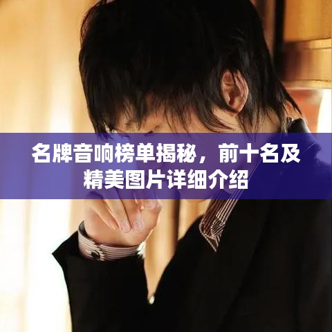 名牌音響榜單揭秘，前十名及精美圖片詳細(xì)介紹