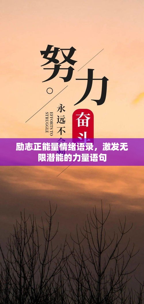 勵志正能量情緒語錄，激發(fā)無限潛能的力量語句
