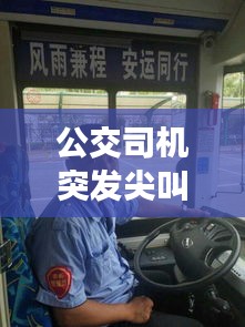 公交司機(jī)突發(fā)尖叫事件，公交車司機(jī)事件原因 