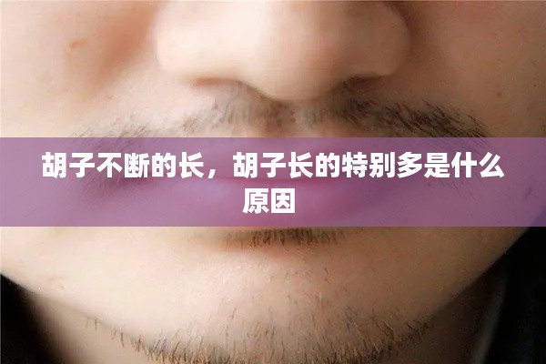 集腋成裘 第2頁