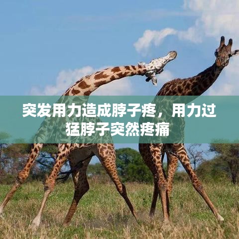 突發(fā)用力造成脖子疼，用力過猛脖子突然疼痛 