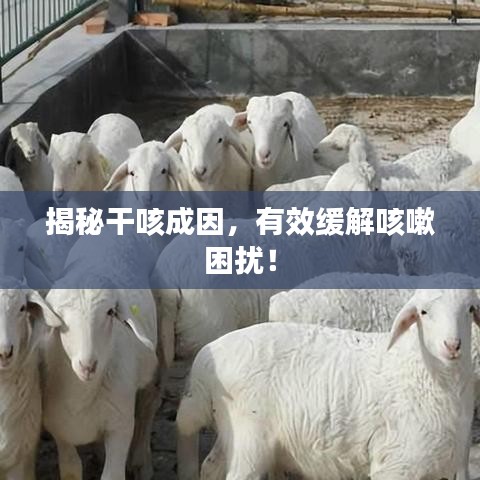 揭秘干咳成因，有效緩解咳嗽困擾！