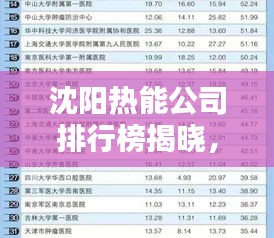 沈陽熱能公司排行榜揭曉，權(quán)威排名榜單，專業(yè)實(shí)力一目了然！