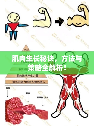 三足鼎立 第3頁