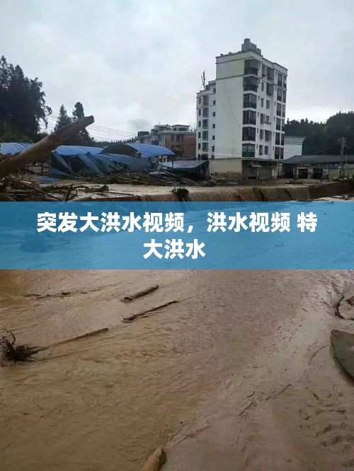 突發(fā)大洪水視頻，洪水視頻 特大洪水 