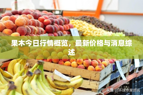 果木今日行情概覽，最新價(jià)格與消息綜述