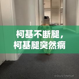 鞭駑策蹇 第3頁