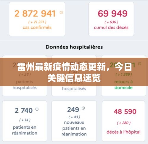 雷州最新疫情動態(tài)更新，今日關(guān)鍵信息速覽