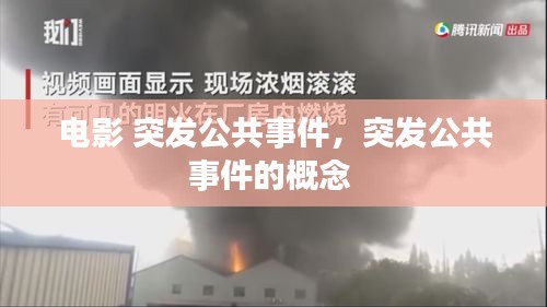 電影 突發(fā)公共事件，突發(fā)公共事件的概念 