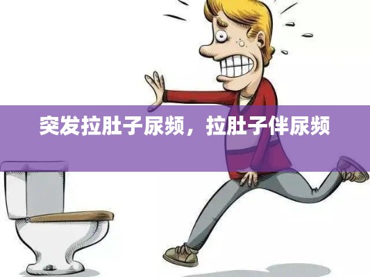 突發(fā)拉肚子尿頻，拉肚子伴尿頻 