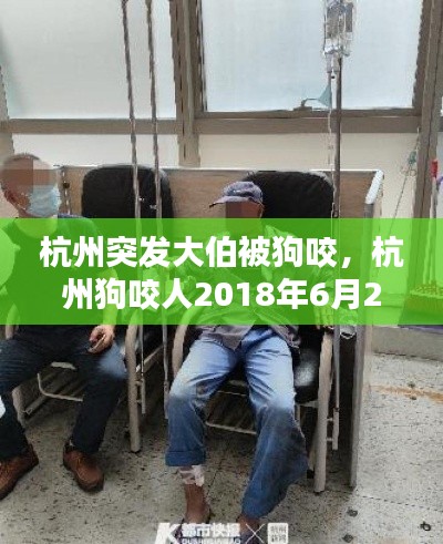 杭州突發(fā)大伯被狗咬，杭州狗咬人2018年6月29 