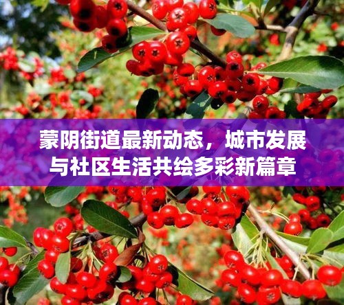 蒙陰街道最新動態(tài)，城市發(fā)展與社區(qū)生活共繪多彩新篇章