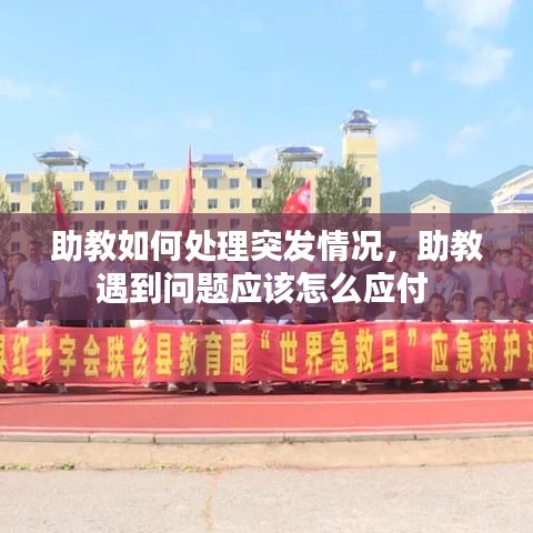 助教如何處理突發(fā)情況，助教遇到問題應(yīng)該怎么應(yīng)付 