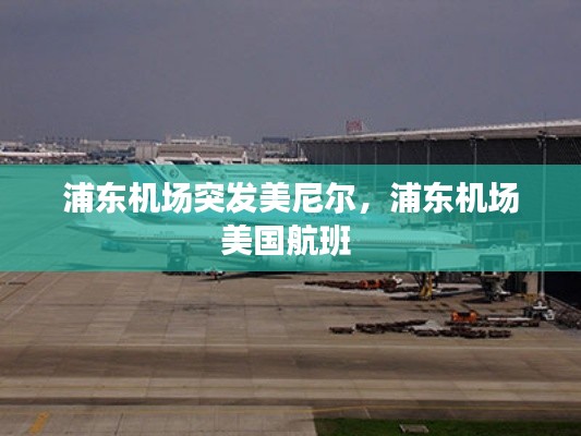 浦東機(jī)場突發(fā)美尼爾，浦東機(jī)場美國航班 