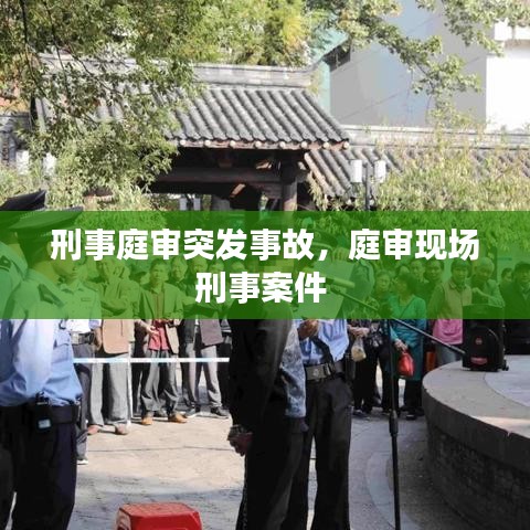 刑事庭審?fù)话l(fā)事故，庭審現(xiàn)場(chǎng)刑事案件 