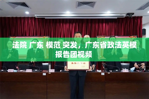 法院 廣東 模范 突發(fā)，廣東省政法英模報告團(tuán)視頻 