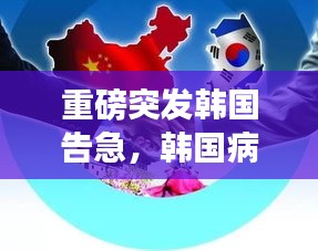 重磅突發(fā)韓國告急，韓國病情爆發(fā) 