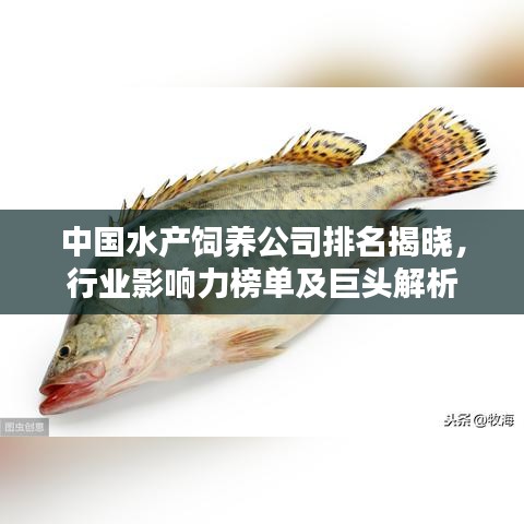 中國水產(chǎn)飼養(yǎng)公司排名揭曉，行業(yè)影響力榜單及巨頭解析