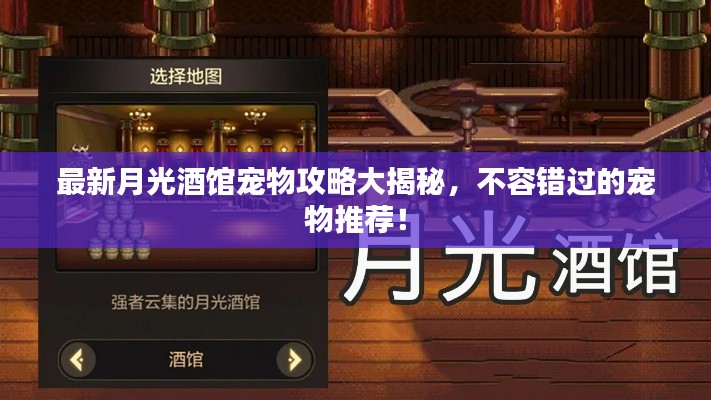 最新月光酒館寵物攻略大揭秘，不容錯過的寵物推薦！