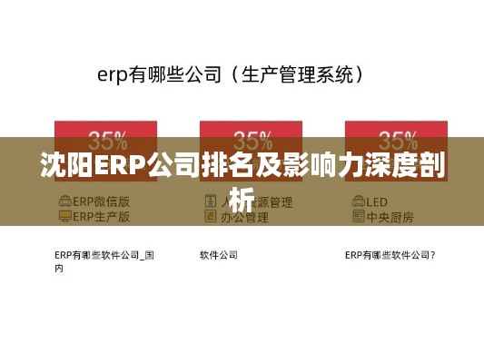 沈陽ERP公司排名及影響力深度剖析