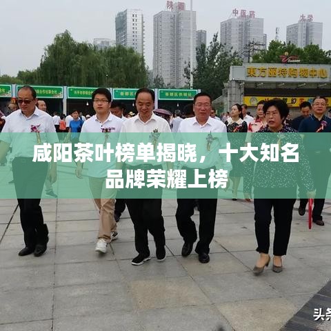 咸陽茶葉榜單揭曉，十大知名品牌榮耀上榜