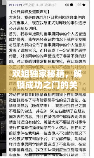 雙姐獨(dú)家秘籍，解鎖成功之門的關(guān)鍵武器，秘籍口訣助你輕松達(dá)成目標(biāo)！