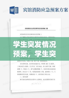 學(xué)生突發(fā)情況預(yù)案，學(xué)生突發(fā)事件應(yīng)對情況記錄內(nèi)容 