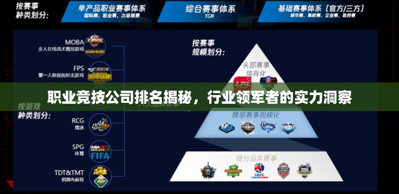 貴險(xiǎn)賤璧 第2頁