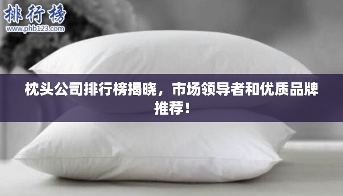 枕頭公司排行榜揭曉，市場(chǎng)領(lǐng)導(dǎo)者和優(yōu)質(zhì)品牌推薦！