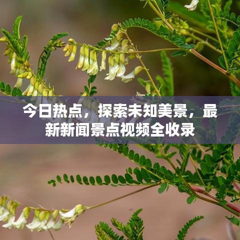 今日熱點(diǎn)，探索未知美景，最新新聞景點(diǎn)視頻全收錄