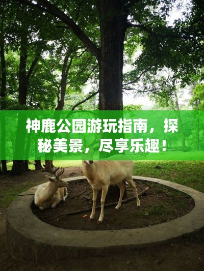 張狂妄行 第3頁