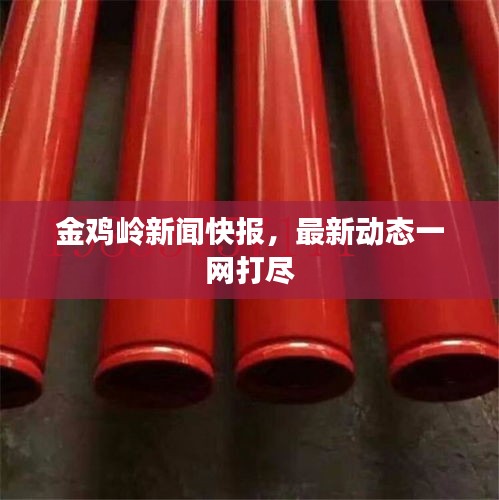 金雞嶺新聞快報(bào)，最新動(dòng)態(tài)一網(wǎng)打盡