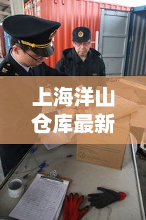 上海洋山倉庫最新價格動態(tài)曝光