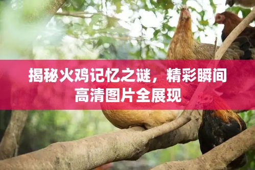 飯來張口 第3頁