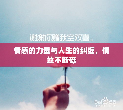 情感的力量與人生的糾纏，情絲不斷礫