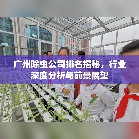 廣州除蟲公司排名揭秘，行業(yè)深度分析與前景展望