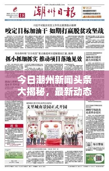今日潮州新聞?lì)^條大揭秘，最新動(dòng)態(tài)一網(wǎng)打盡