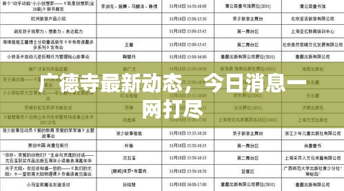 廣德寺最新動態(tài)，今日消息一網(wǎng)打盡