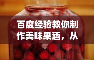 百度經(jīng)驗(yàn)教你制作美味果酒，從零開始，輕松釀制果酒！